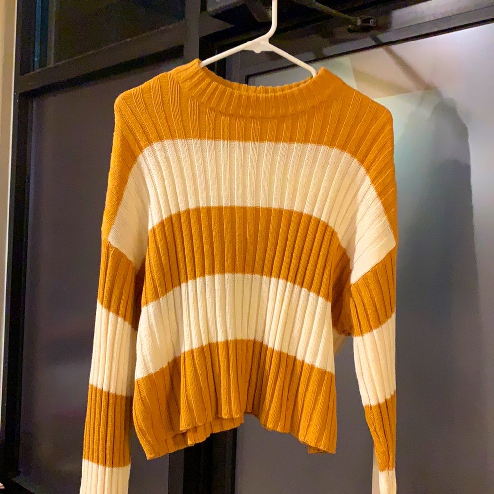American Eagle Crop Sweater